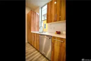 Light wood-look plank floor, galley kitchen